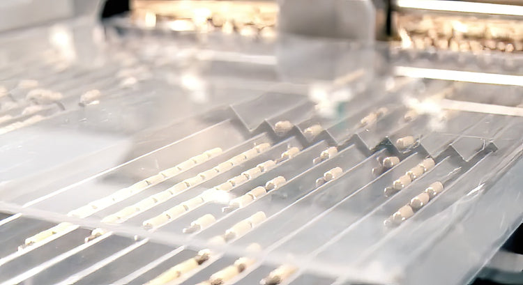 Apple Cider Vinegar Wellness Capsules