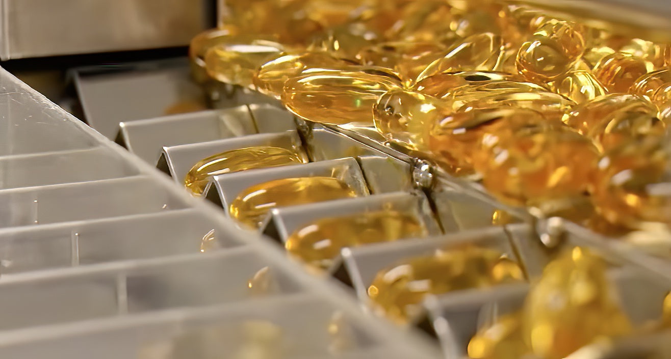 Apple Cider Vinegar Wellness Capsules