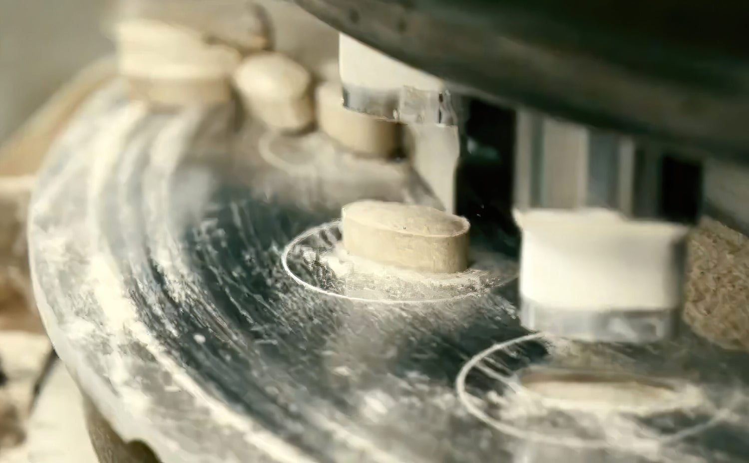 Premium Elderberry Immune Support Capsules